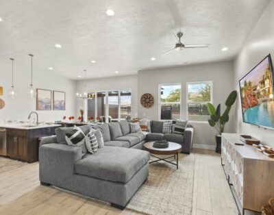 Ocotillo Springs 43